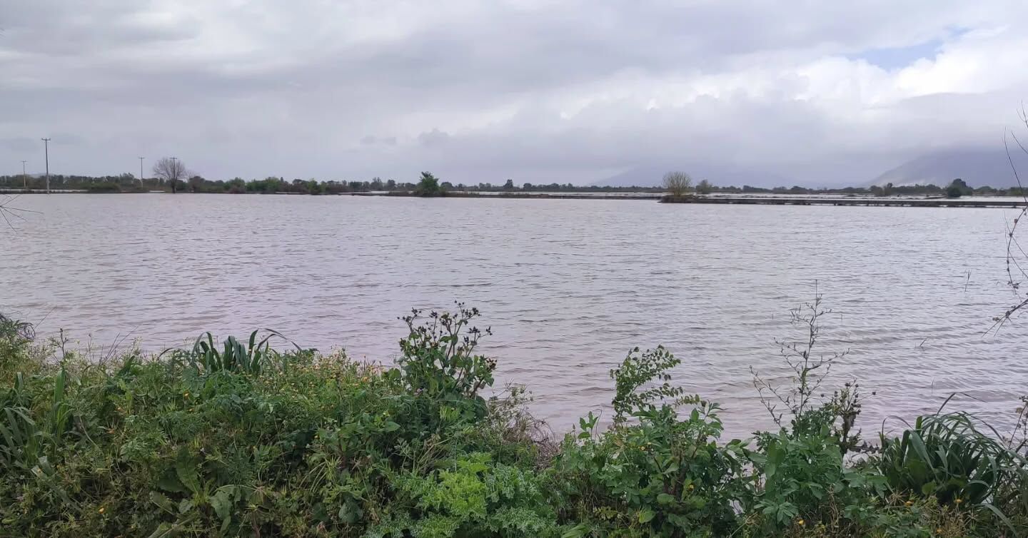 Germencikli Ciftcilerin Yaralari Sariliyor 651917 Eb4D2Eddde951A3674Cf3Dd2705Fcf54