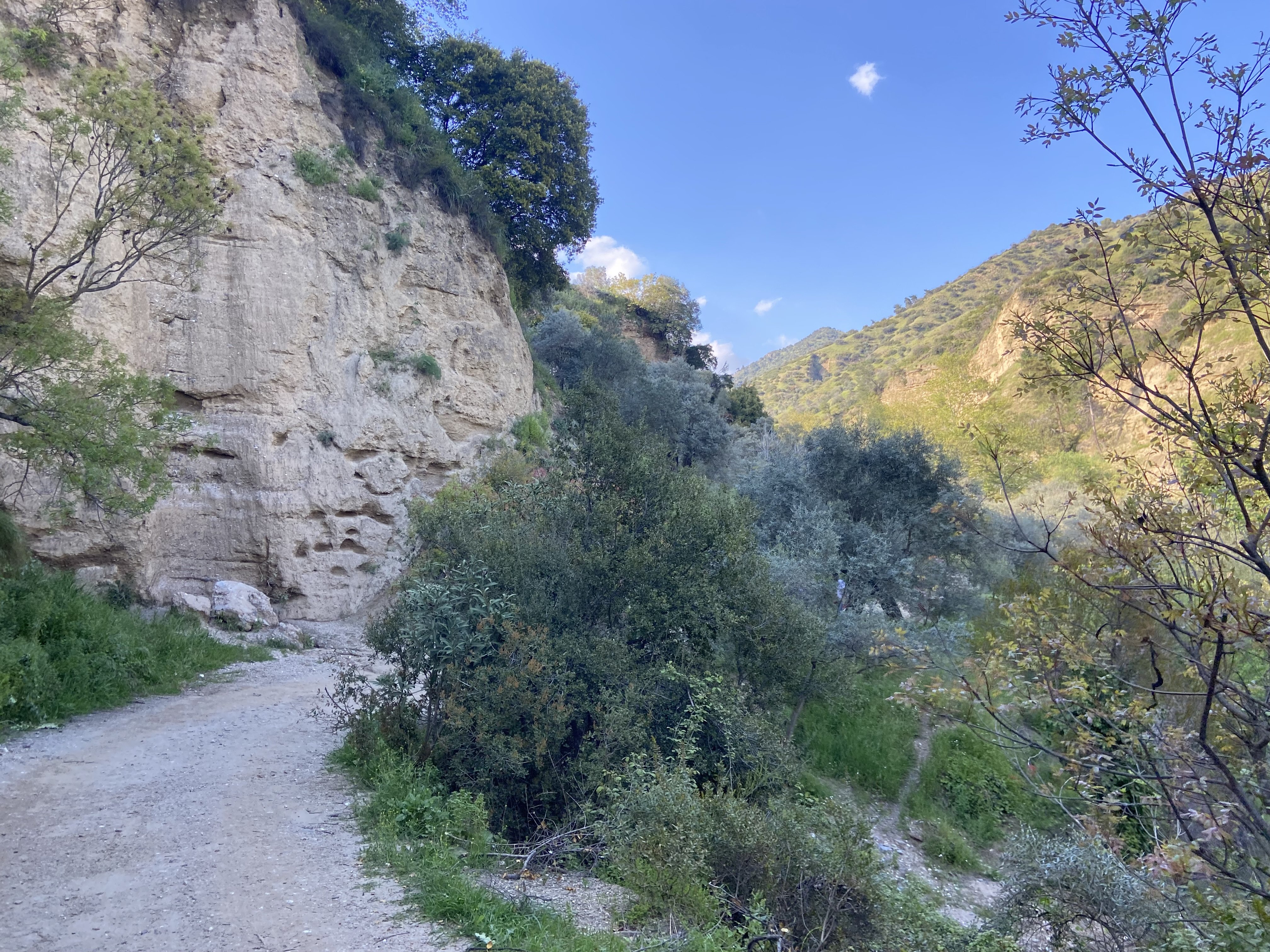 Hafta Sonu Planiniz Hazir Imamkoy Doga Parkuru 658379 A210E8