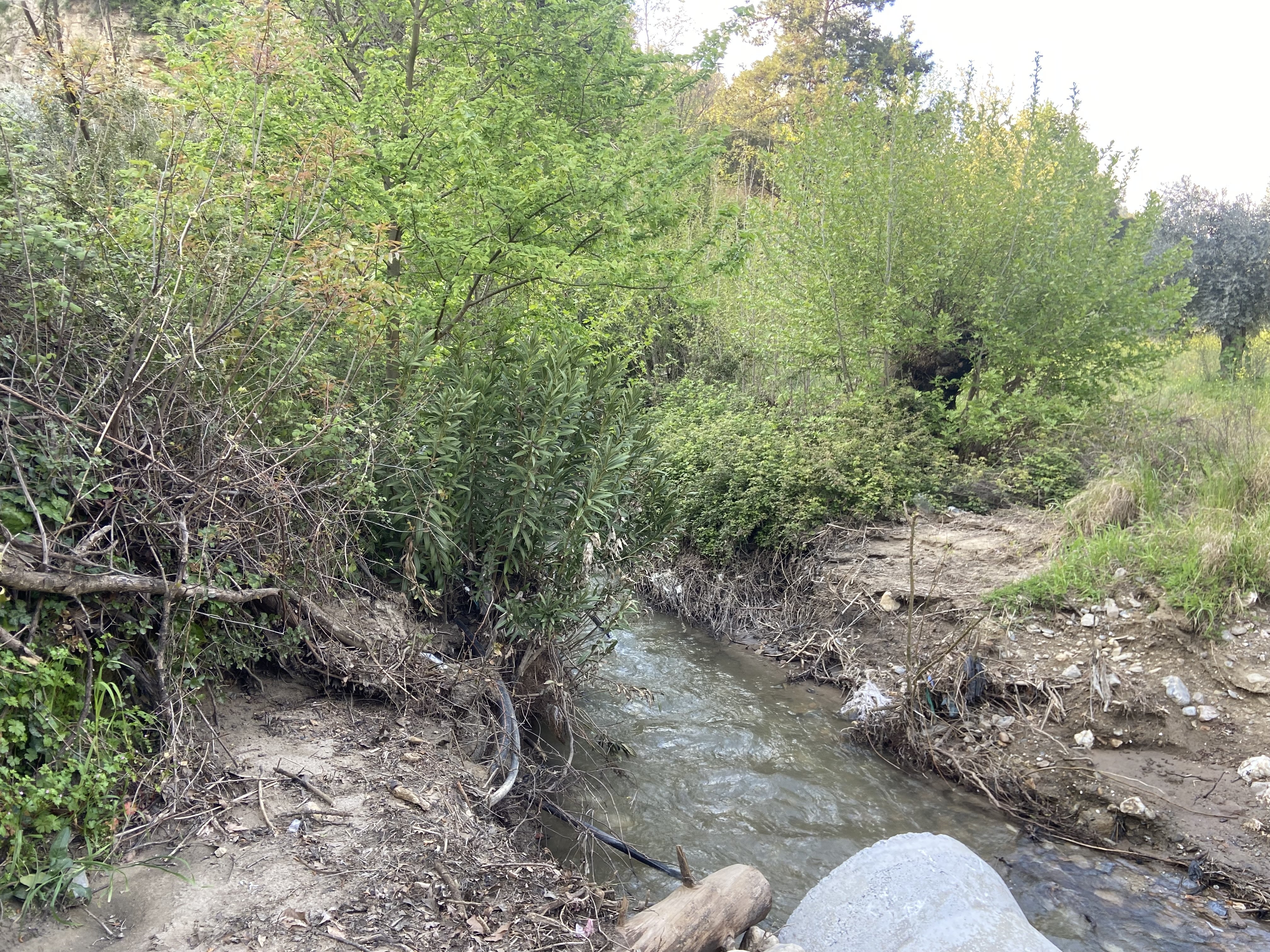 Hafta Sonu Planiniz Hazir Imamkoy Doga Parkuru 658379 D22560