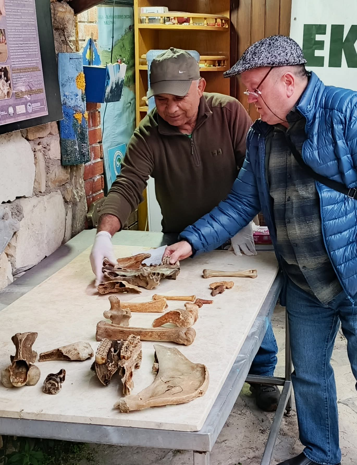 Halk Plajinda Bulunan Deve Kafatasi Incelemeye Alindi 654873 E6A36D