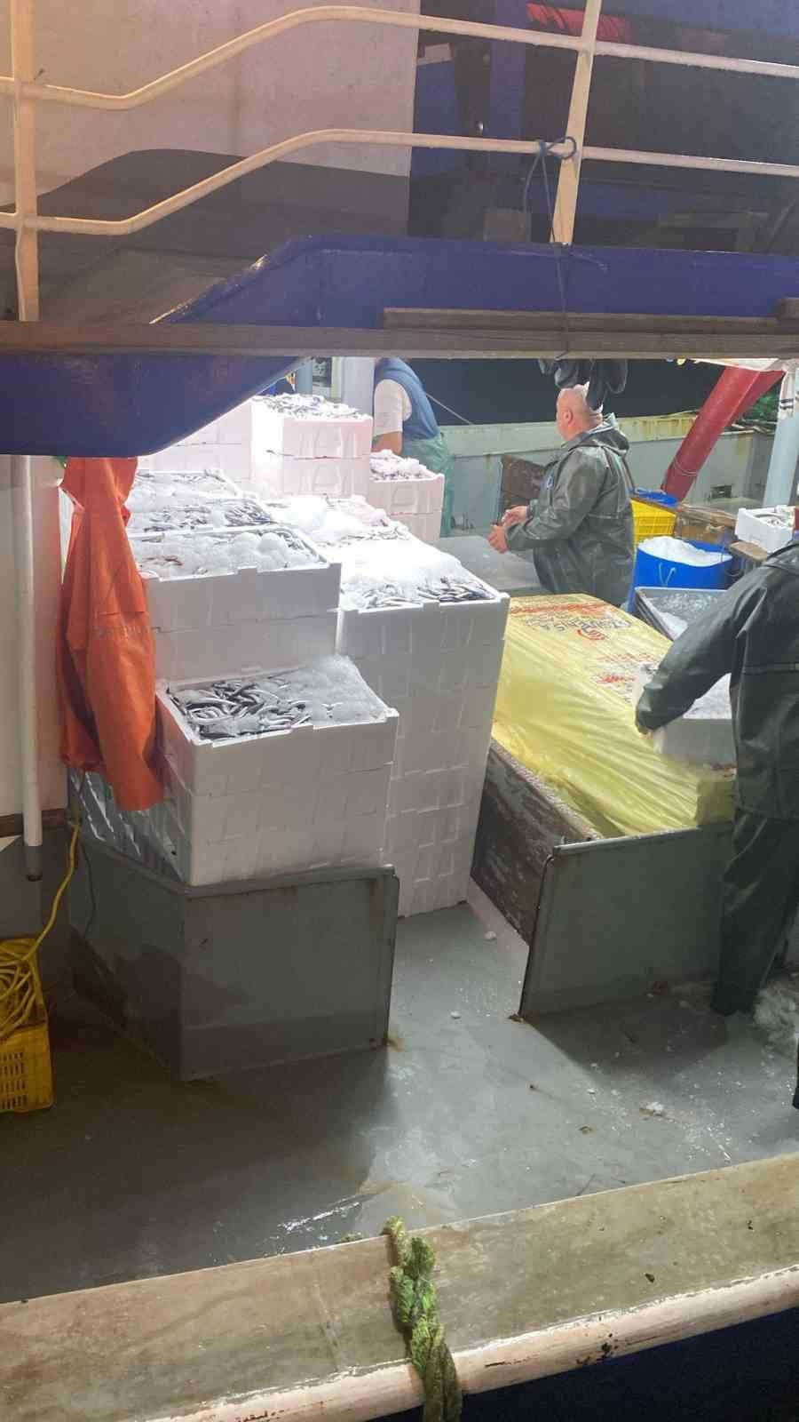 Hamsi Kotasi Icin Didimde Denetim Yapildi Dcbcd2F4E238A3B21F27Dfc497E9895A