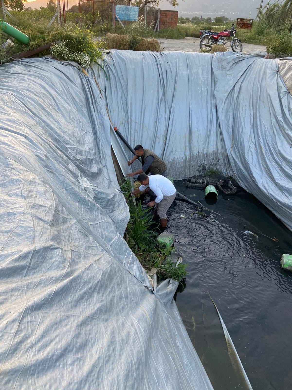 Havuzda Can Pazari Minik Patiler Hayata Tutundu 657978 49Bd34