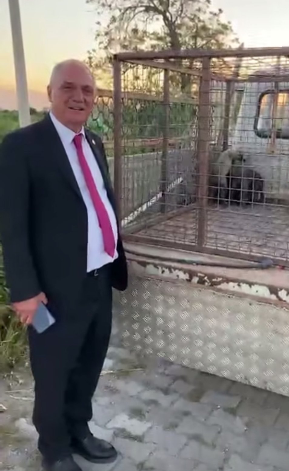 Havuzda Can Pazari Minik Patiler Hayata Tutundu 657978 95Cb0E