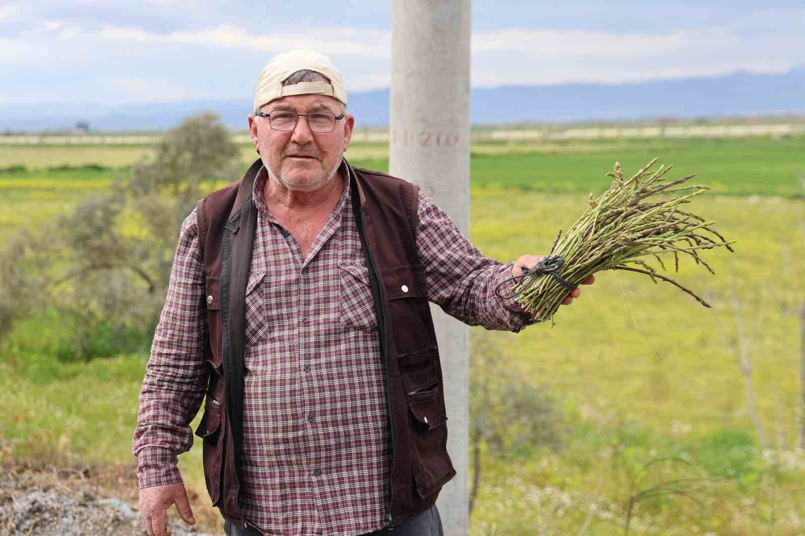 Hem Sagligini Koruyor Hem De Paylasmanin Mutlulugunu Yasiyor 1776240004043 620619