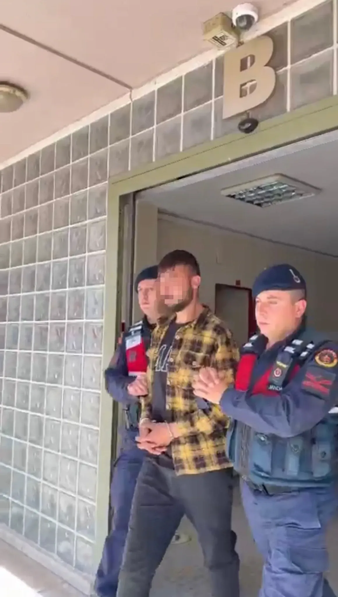 Incirliovanin Dayak Cetesi Coktu 658184 0Aae6E