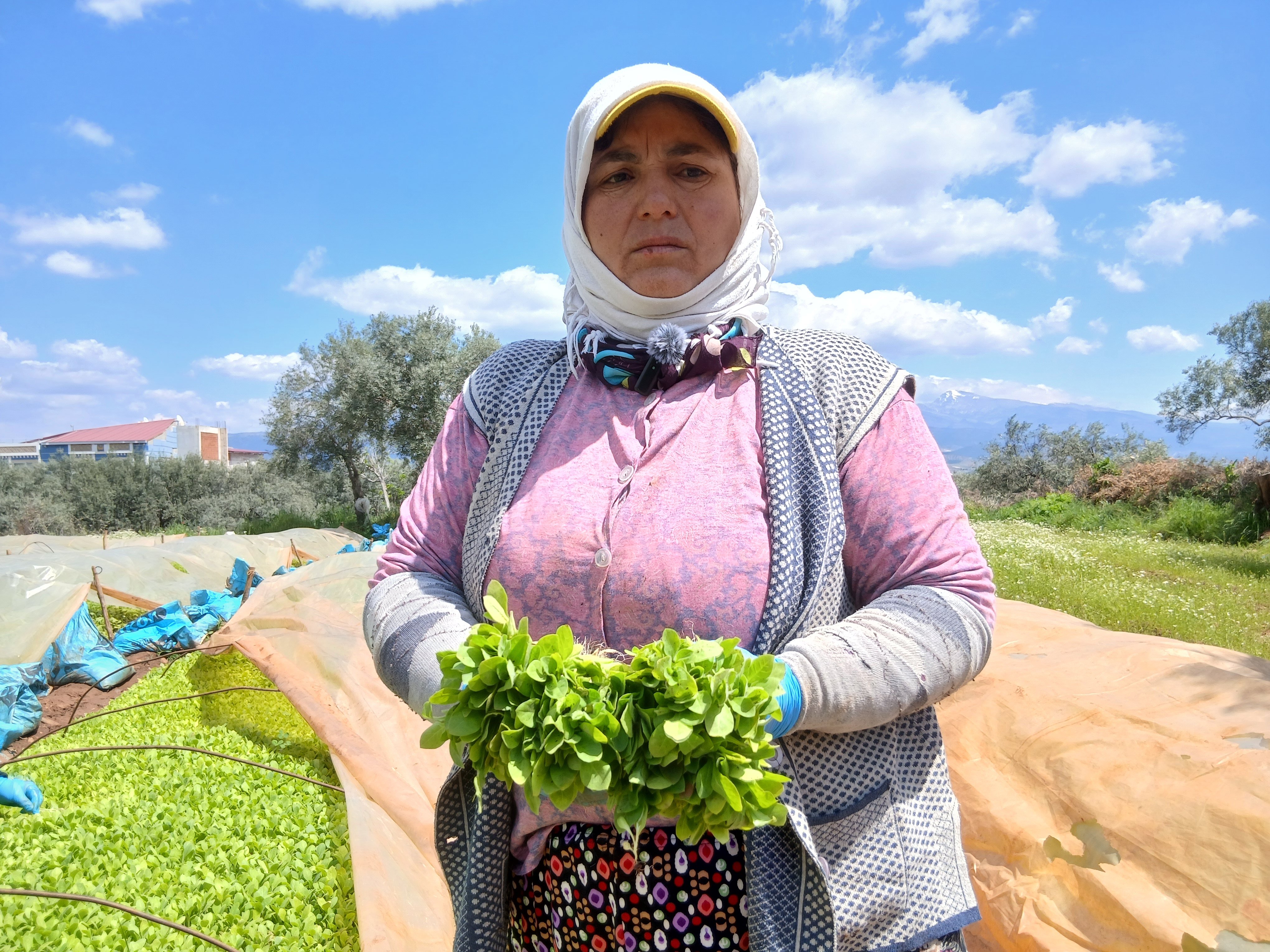 Karacasuda 25 Yillik Tutun Ureticisi Maliyetleri Konusmaya G 657424 40B50E