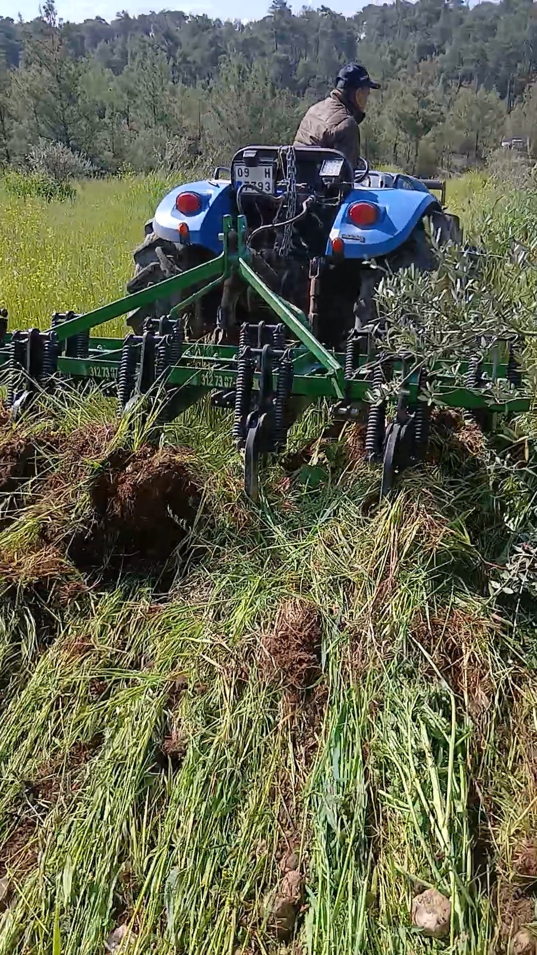 Karacasuda Bahar Mesaisi Ciftciler Yabani Otla Mucadele Ediy 656195 0Cba3F