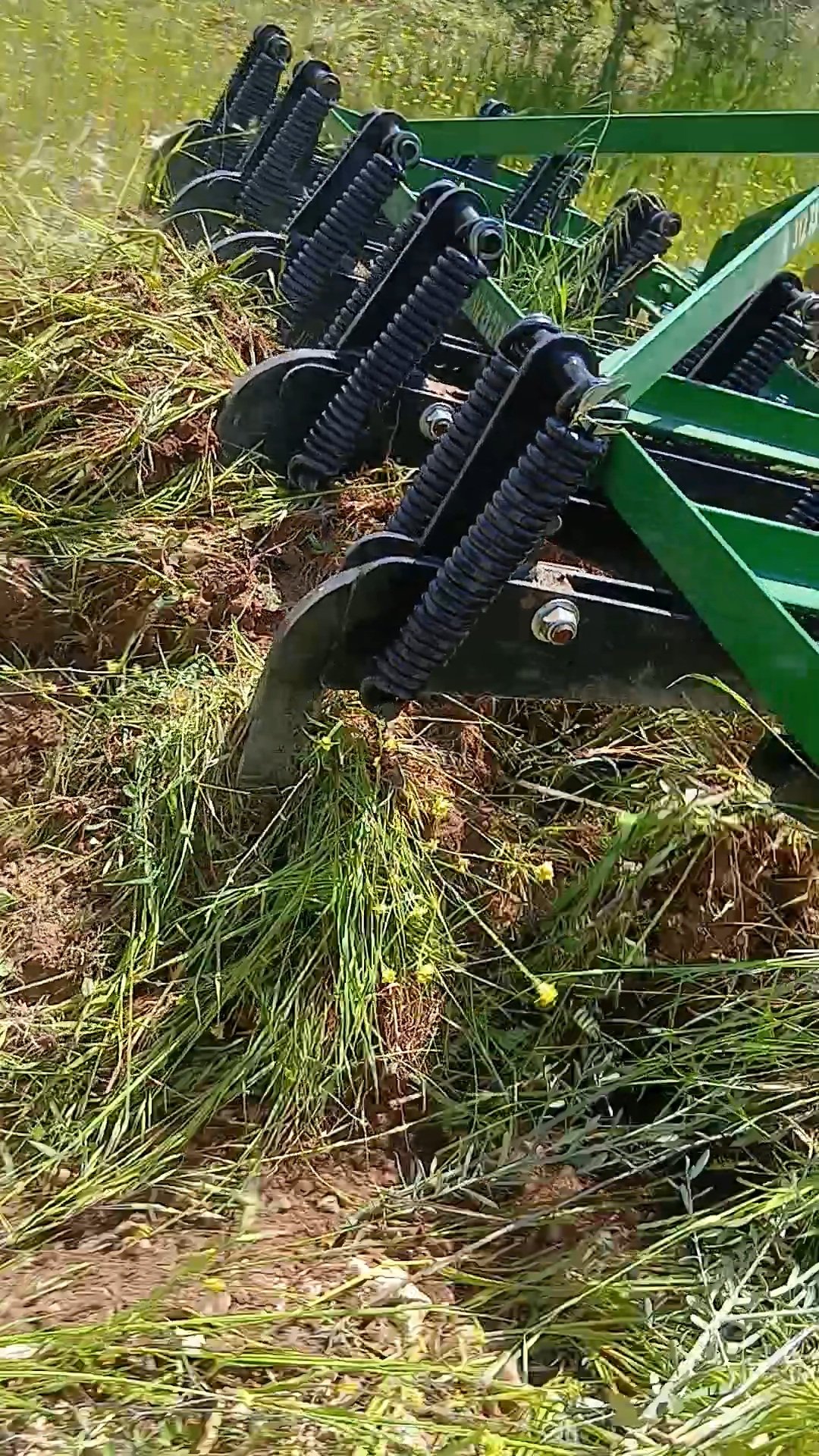 Karacasuda Bahar Mesaisi Ciftciler Yabani Otla Mucadele Ediy 656195 6800C4