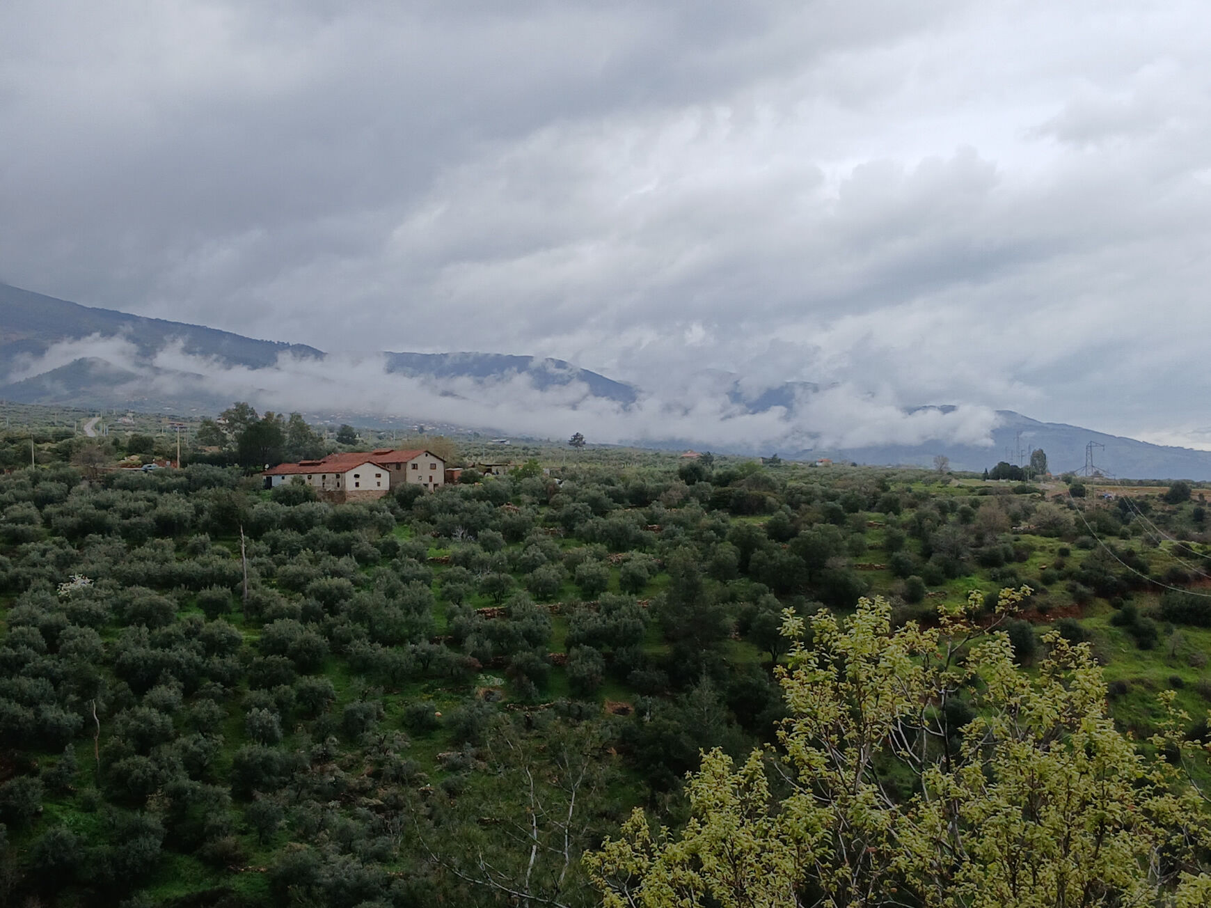 Karacasuda Nisan Ayi Bereketle Geldi Yagisli Hava Etkisini Surduruyor 652177 6Afd61814Ab6D743C17Ff83E0117E85A