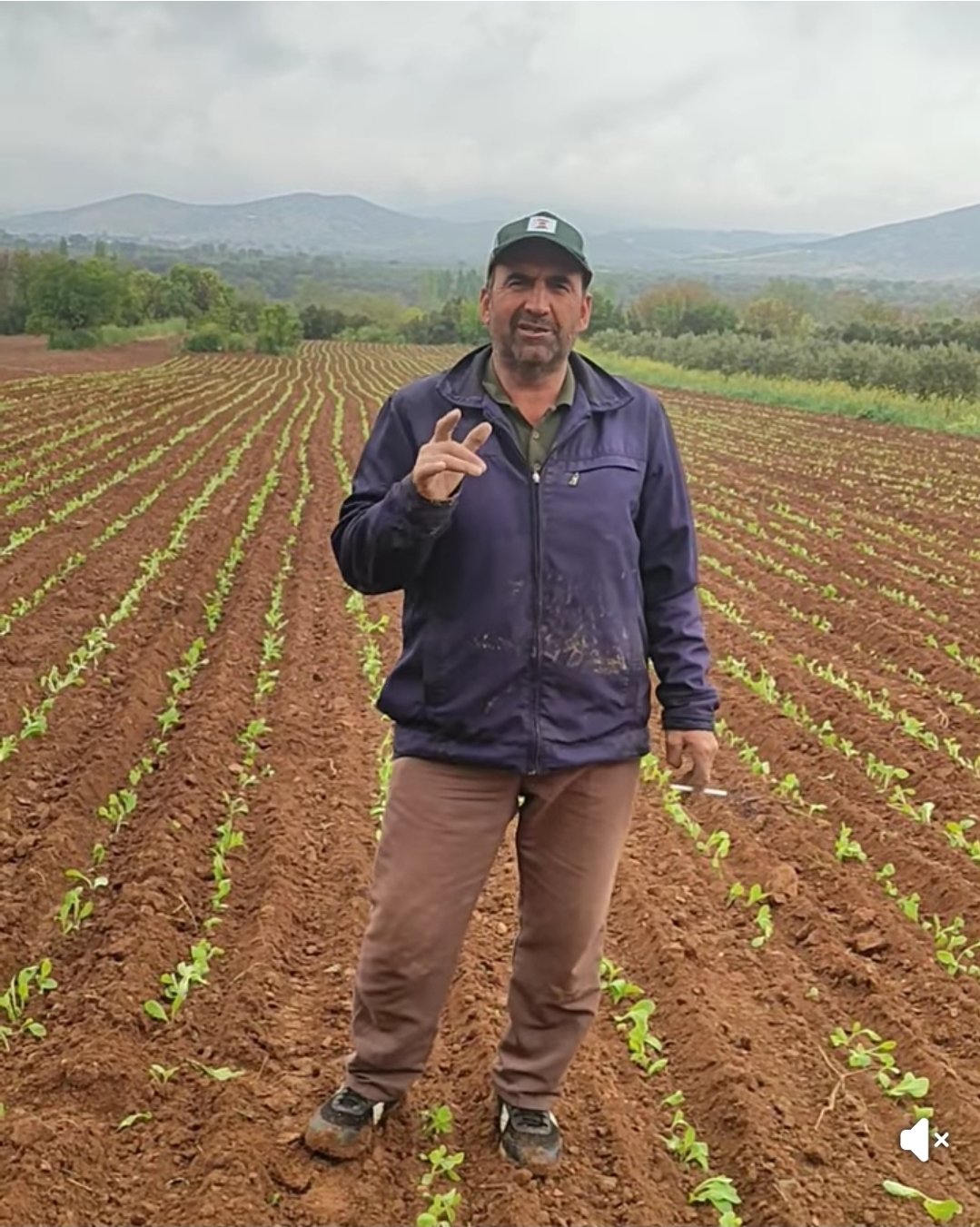 Karacasulu Muhtardan Tutun Firmalarina Avans Isyani Bu Son N 657065 0877F3