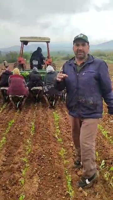 Karacasulu Muhtardan Tutun Firmalarina Avans Isyani Bu Son N 657065 58511C