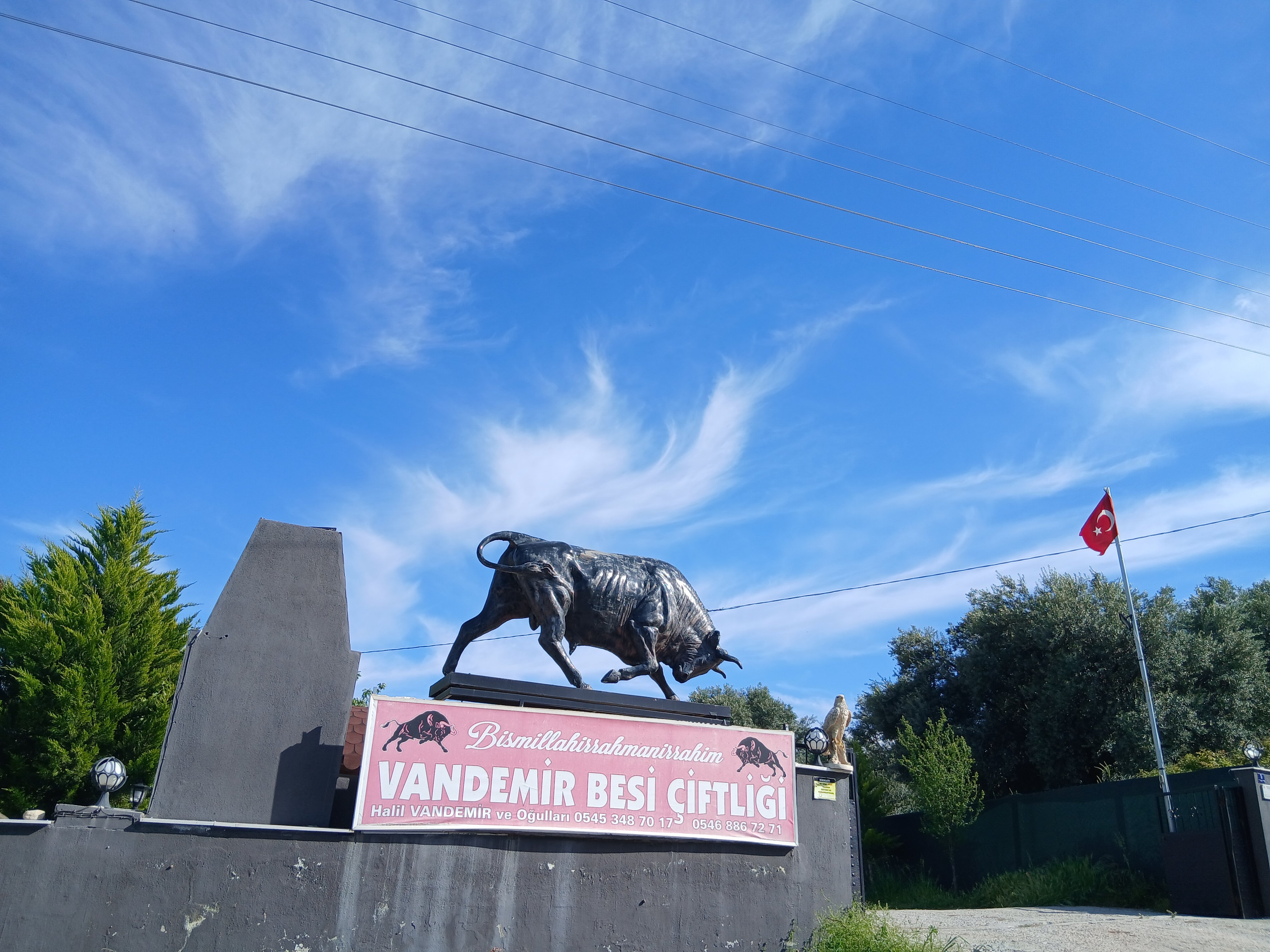 Karacasunun Ilk Ve Tek Modern Mezbahasi Bu Yil Kurbanlar Ray 656301 0371Ac