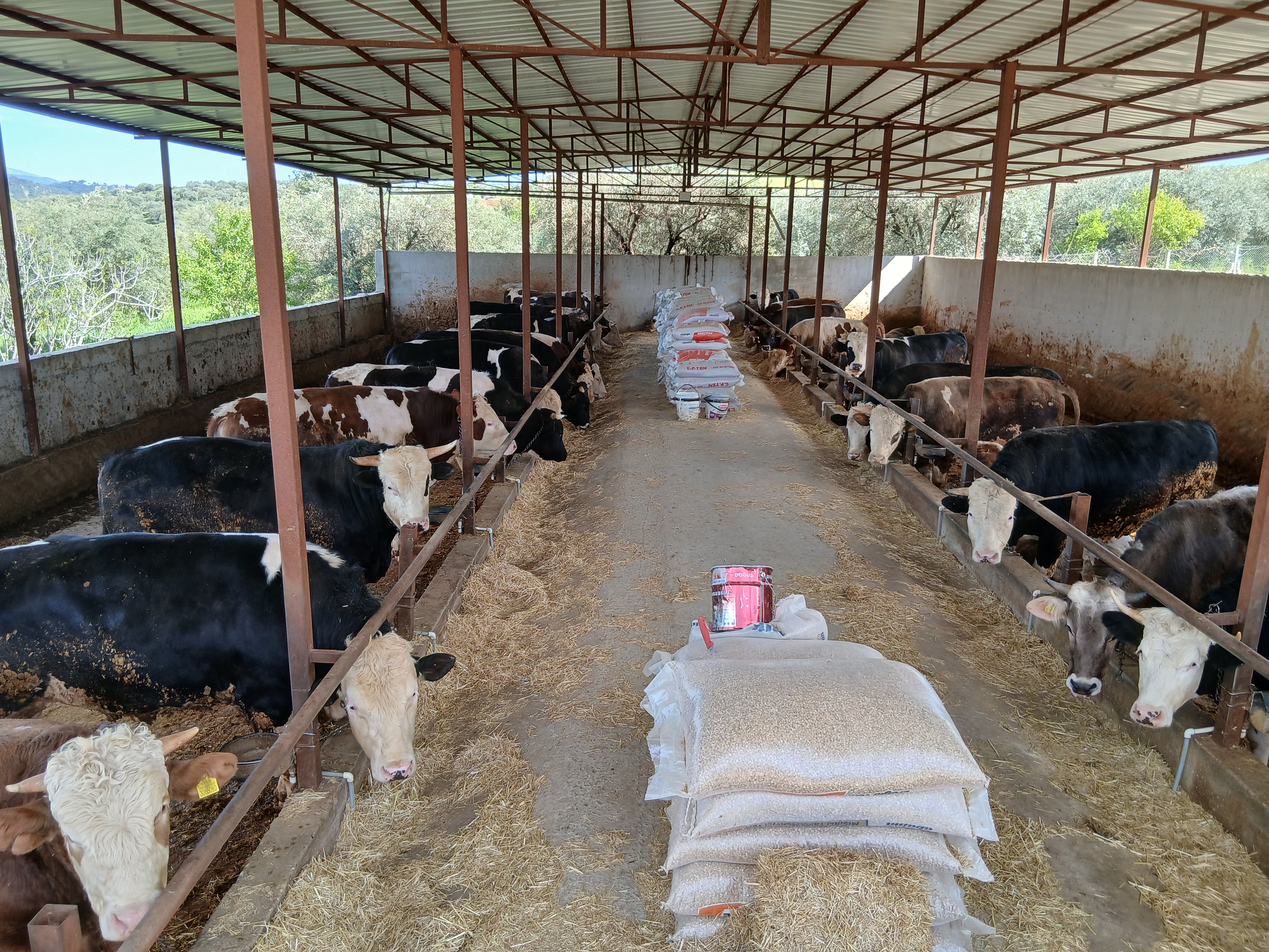 Karacasunun Ilk Ve Tek Modern Mezbahasi Bu Yil Kurbanlar Ray 656301 3E98C4