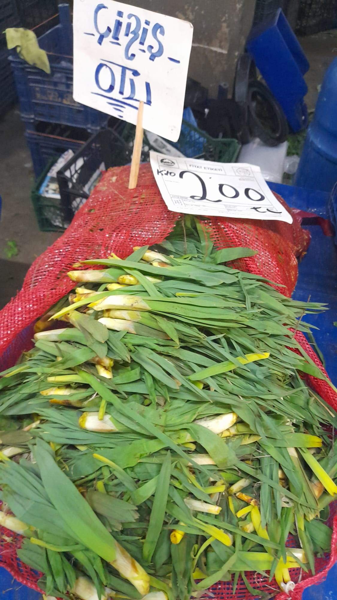 Karlarin Altinda Gelen Sifa Tezgahta Yok Satiyor 658076 233955