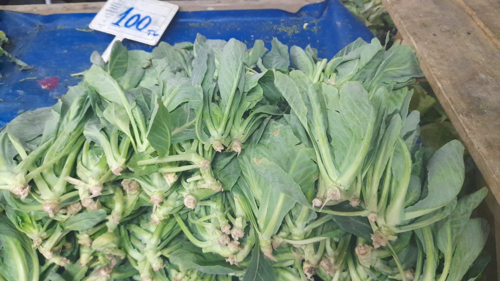 Karlarin Altinda Gelen Sifa Tezgahta Yok Satiyor 658076 27Feb8