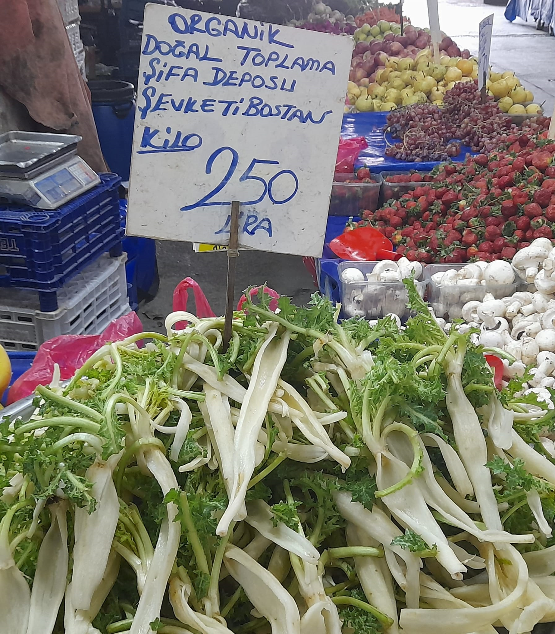 Karlarin Altinda Gelen Sifa Tezgahta Yok Satiyor 658076 A49B0A