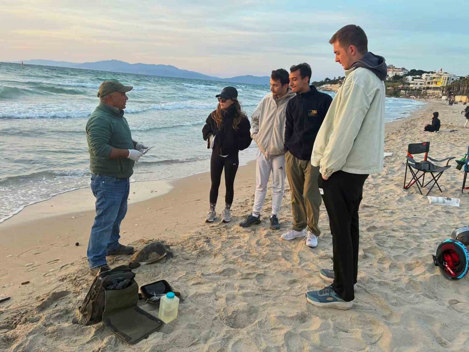 Kusadasi Nda Iki Deniz Kaplumbagasi Olu Bulundu 1776495308156 464755