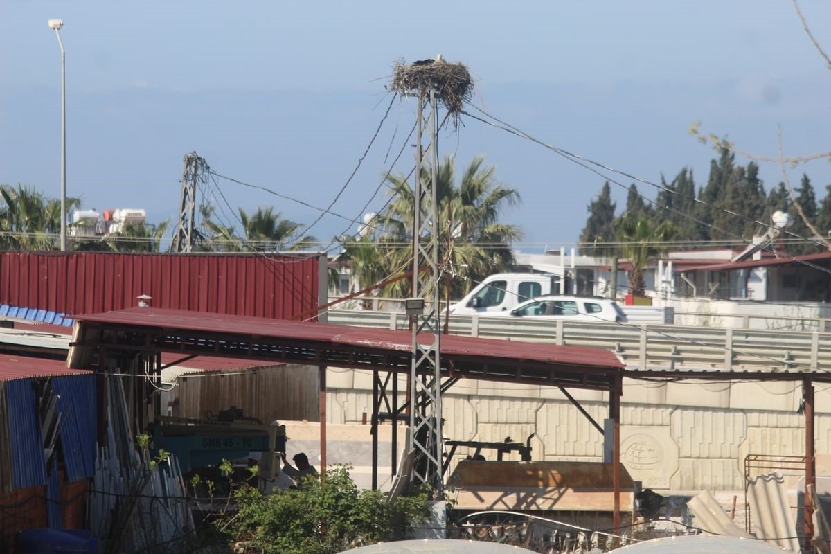 Kusadasinda 40 Yil Sonra Leylek Sevinci C9D6490E5244E5F90C573D1Db399A25E