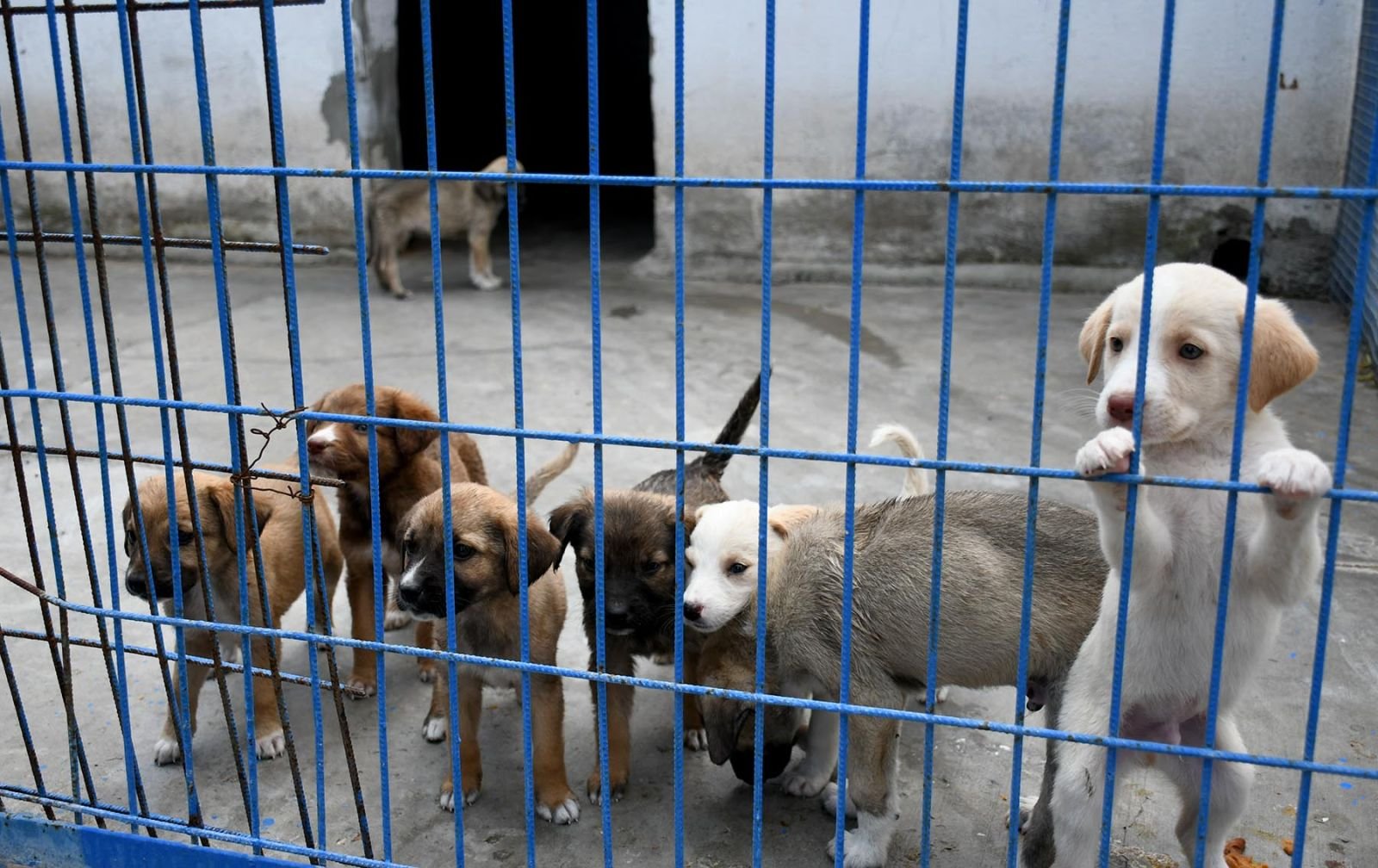 Kusadasinda Satil Alma Sahiplen Sloganiyla Seferberlik Buyuy 654981 2B1A62