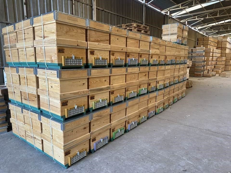 Kuyucaktan Dunyaya Kovan Ihracati 4692B42C12Aec6487192B90Ee3528Cb6