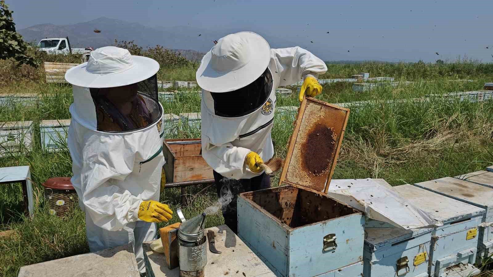 Kuyucaktan Dunyaya Kovan Ihracati A7609Fe193A9D81B00Ece8C19182B347