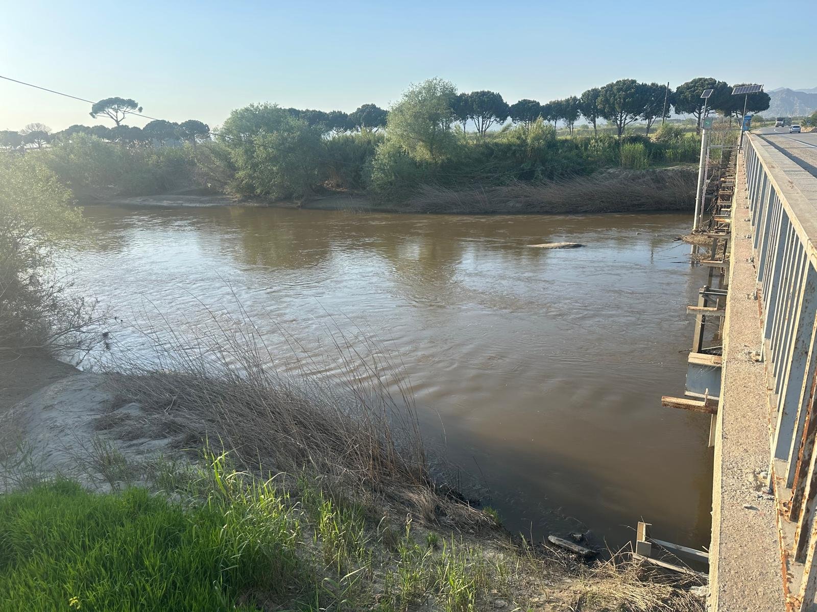 Mendereste Kara Gorundu 658058 359642