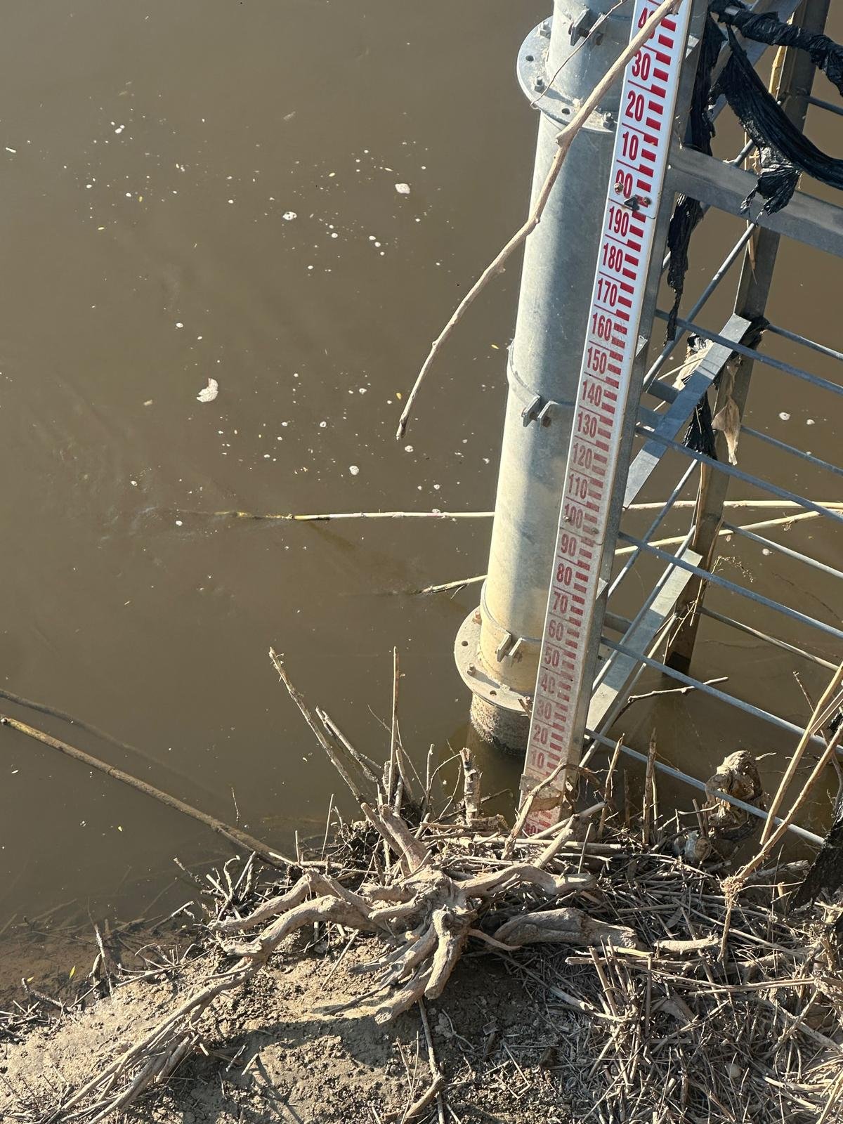 Mendereste Kara Gorundu 658058 8929Be