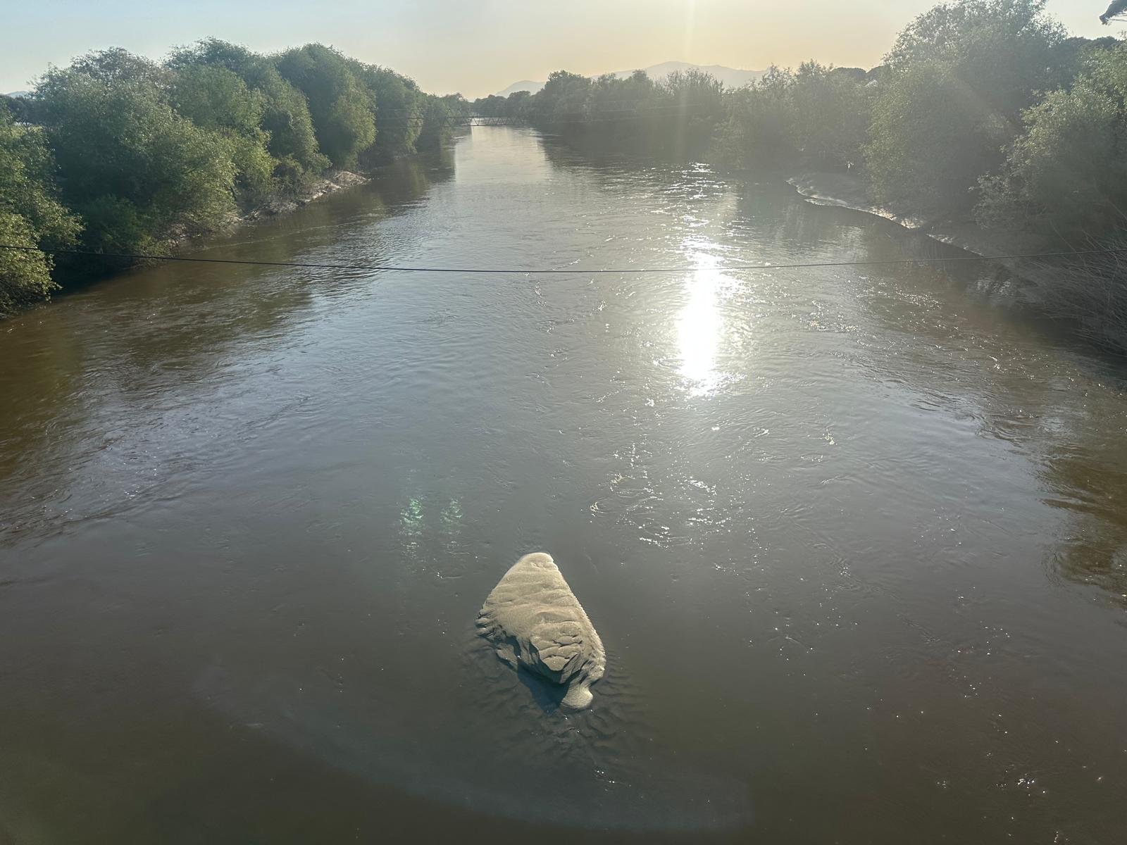 Mendereste Kara Gorundu 658058 De0464