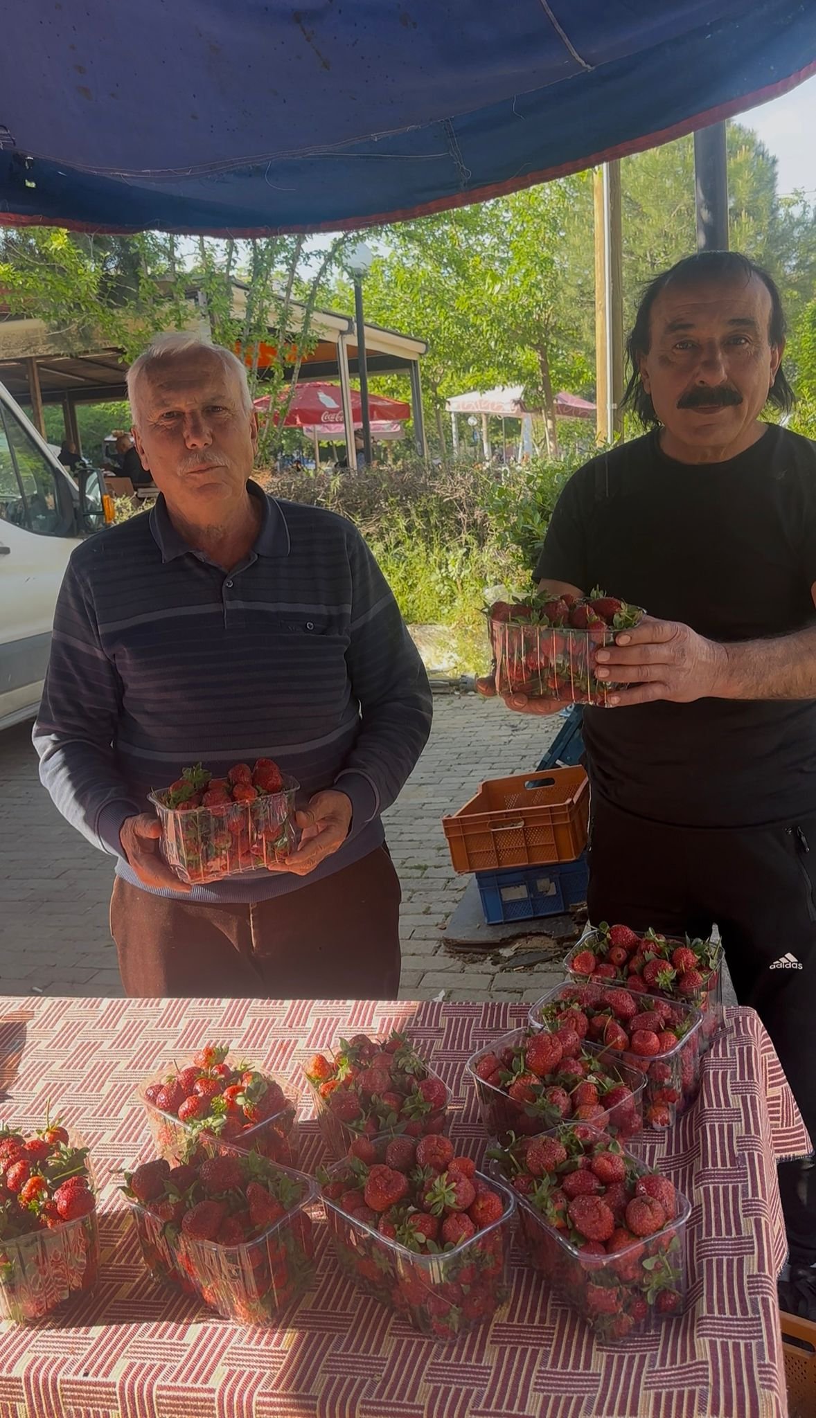 Millet Yesin Deyip Cilegin Fiyatini Dusurdu 656571 7D1F1C