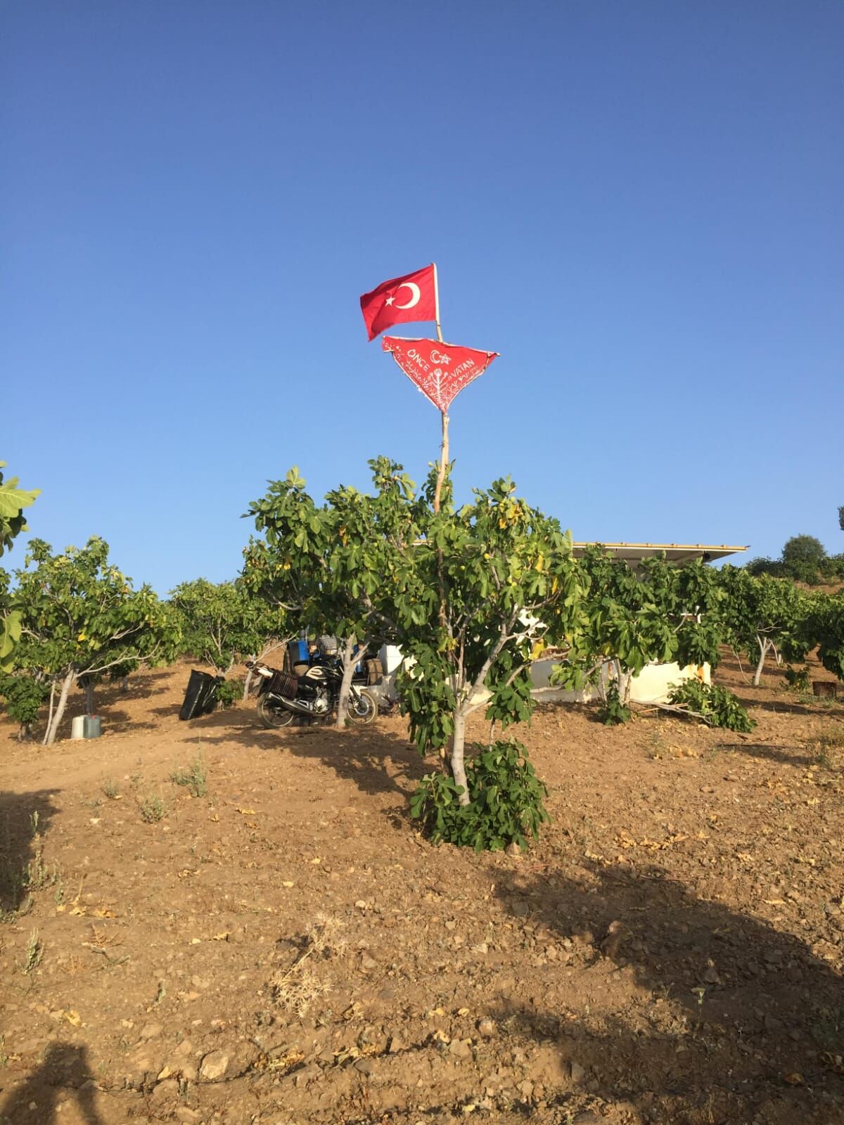 Milletvekili Savas Karagozler Yaylasinin Isiklarini Yakacak Muhtar Demiray Tesekkur Etti 651673 59545F3C3Efcf653C72F3Eecf2C13Cf3