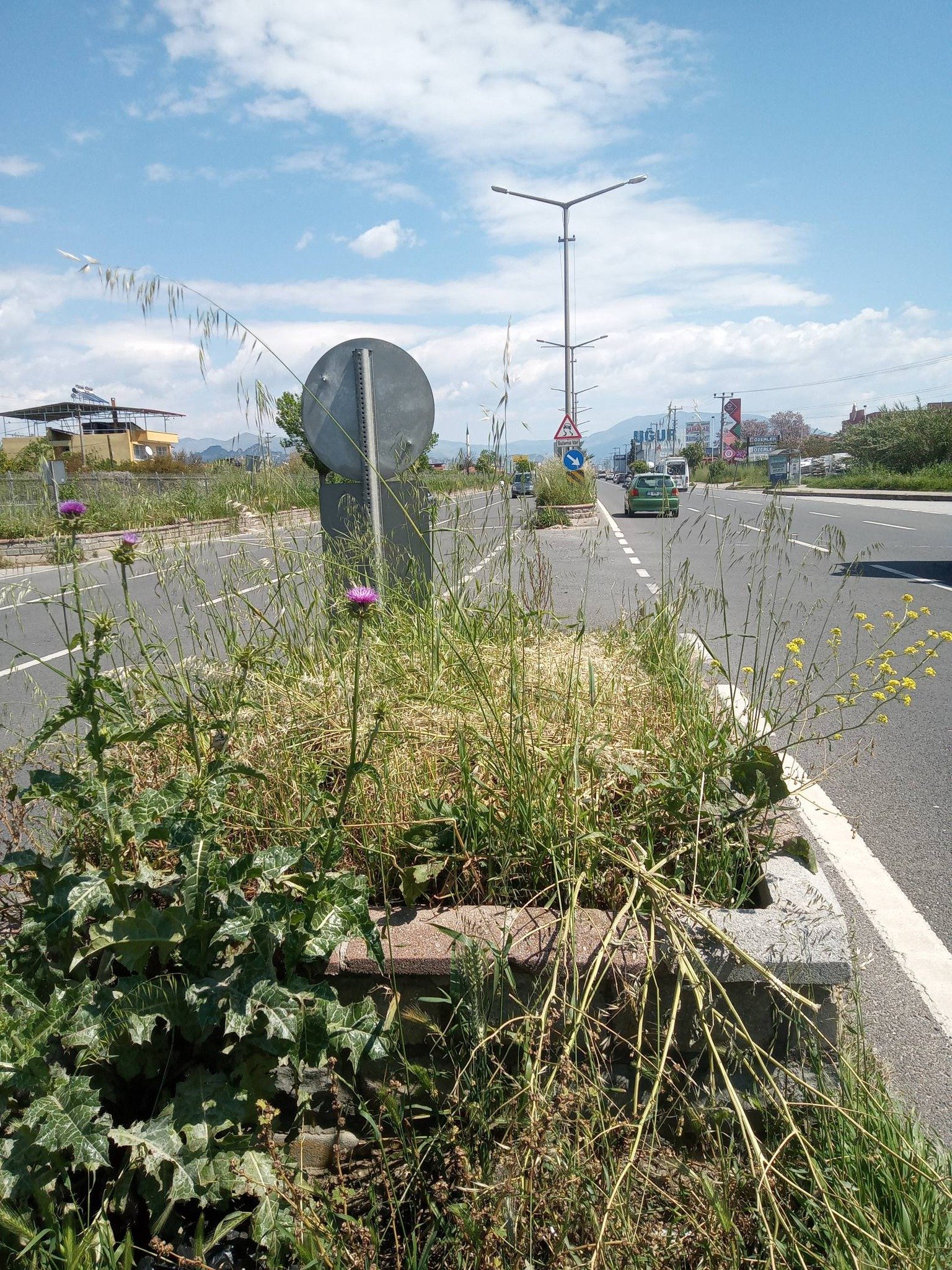 Nazilli Girisindeki Tehlike Yaratan Bakimsizlik Tepki Cekiyor 654188 F7D64002Ce746F08C5Da47083Dbeaa21