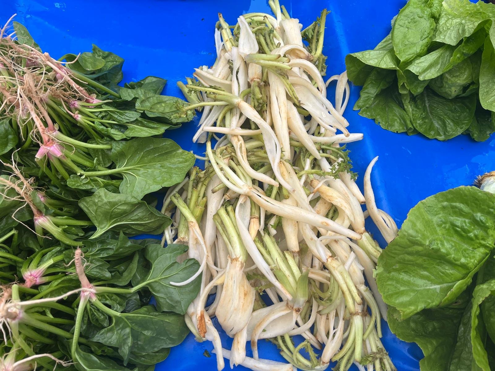 Nazilli Persembe Pazarinda Fiyatiyla Dudak Ucuklatti 656927 09C872