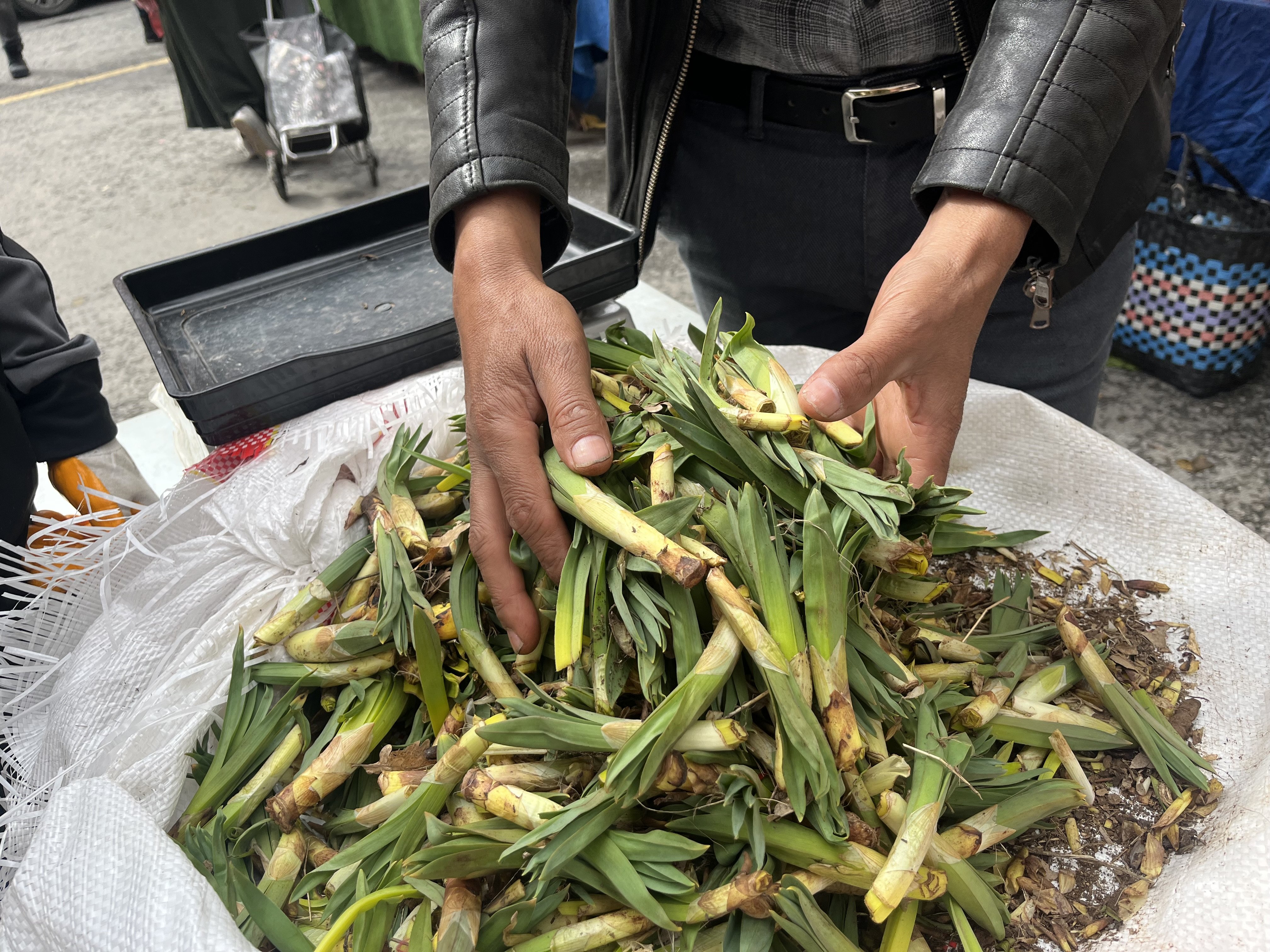 Nazillide Dogunun Sifa Deposu Ciris Otu Tezghlarda Yerini Aldi 652611 46793D7440A0657E473C08Dc5B095064-1