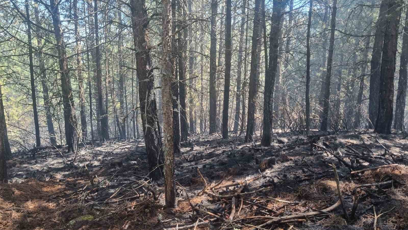 Orman Yangini Kontrol Altina Alindi 1777288505603 711719