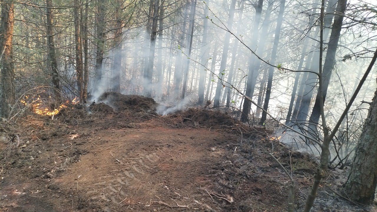 Orman Yangini Kontrol Altina Alindi 1777288508850 92142