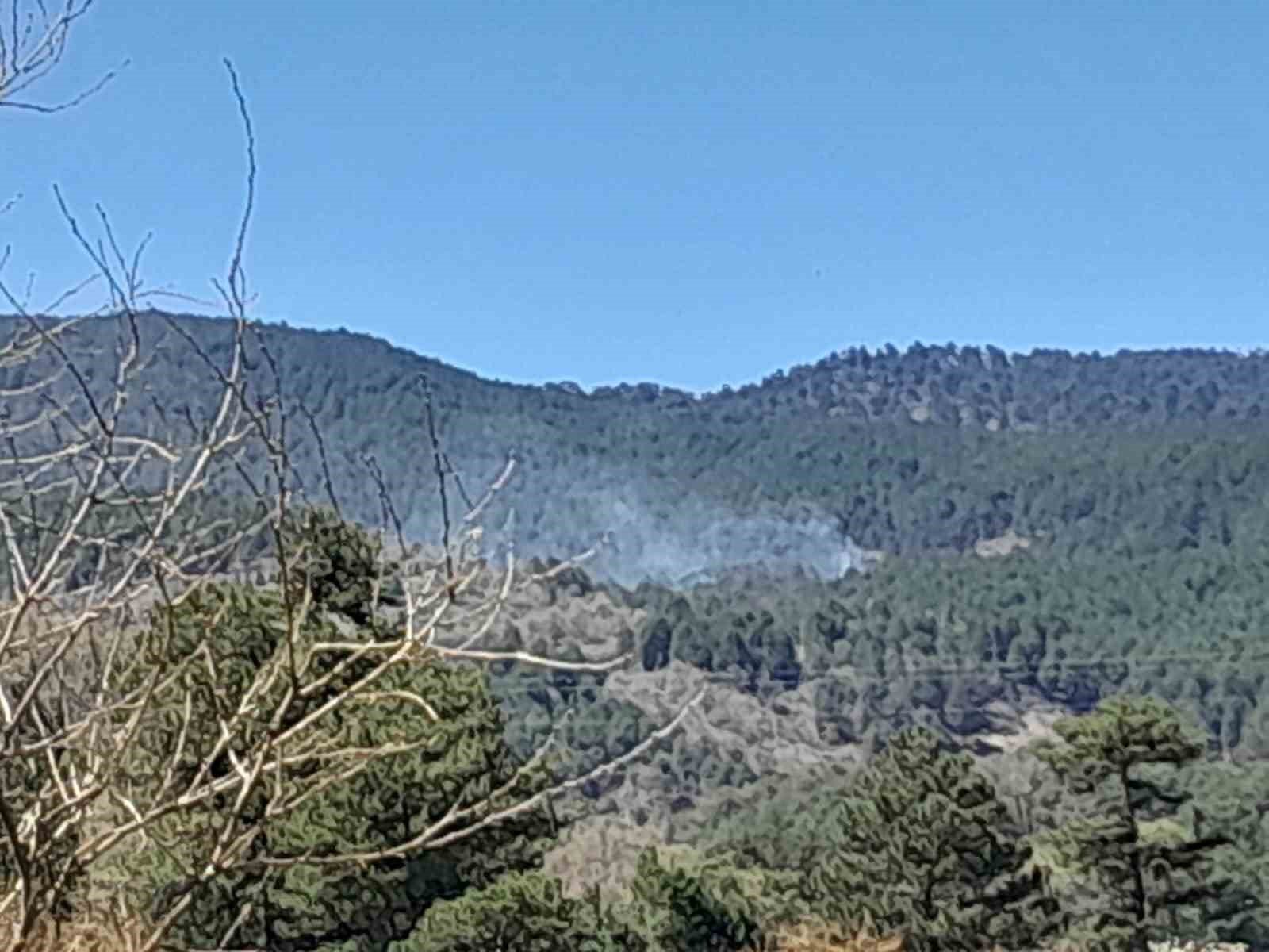 Orman Yangini Kontrol Altina Alindi 1777288510603 393155