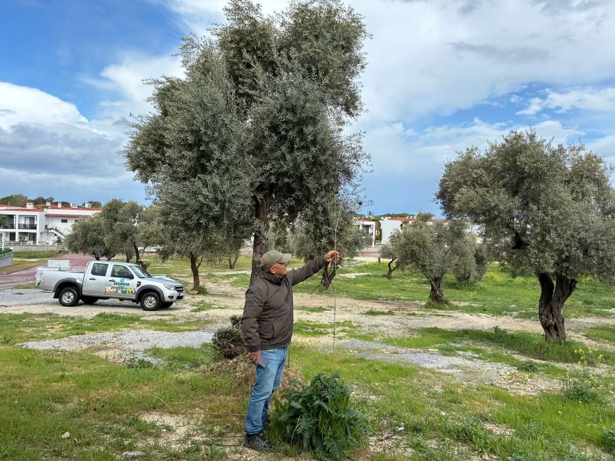 Sahip Cikmazsak Tulusahi Kaybedecegiz 652521 692D308361Bb2859B3A648E35A324Bce