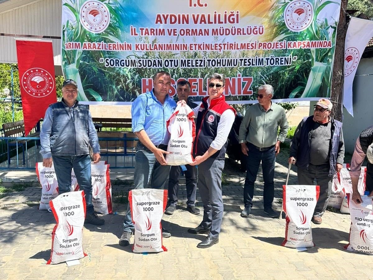 Silajlik Misira Alternatif Olan Sorgum Otu Ureticilere Dagitildi 1777531219536 540048