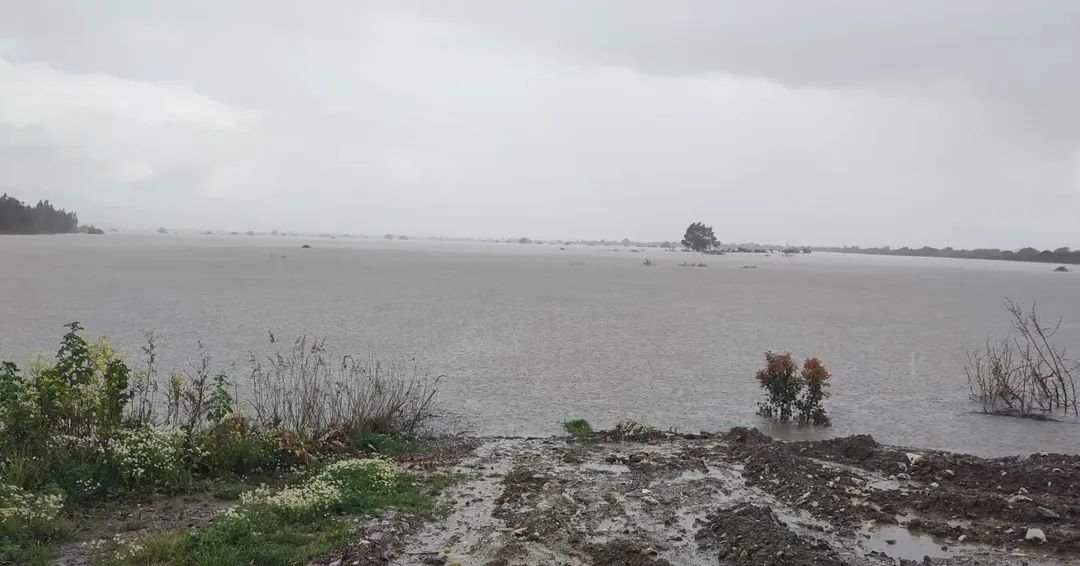 Sokede Ciftciler 652504 80Af85Ea9447C2D9B9F0A4E00B718184