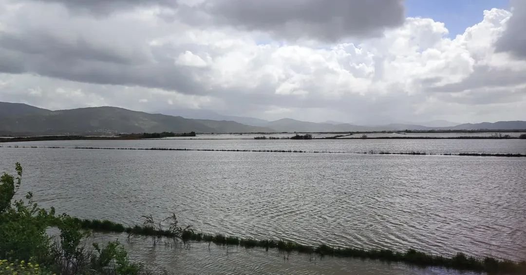 Sokede Ciftciler 652504 E3Eb6A647D75E8F9F3E191032E0E7D77