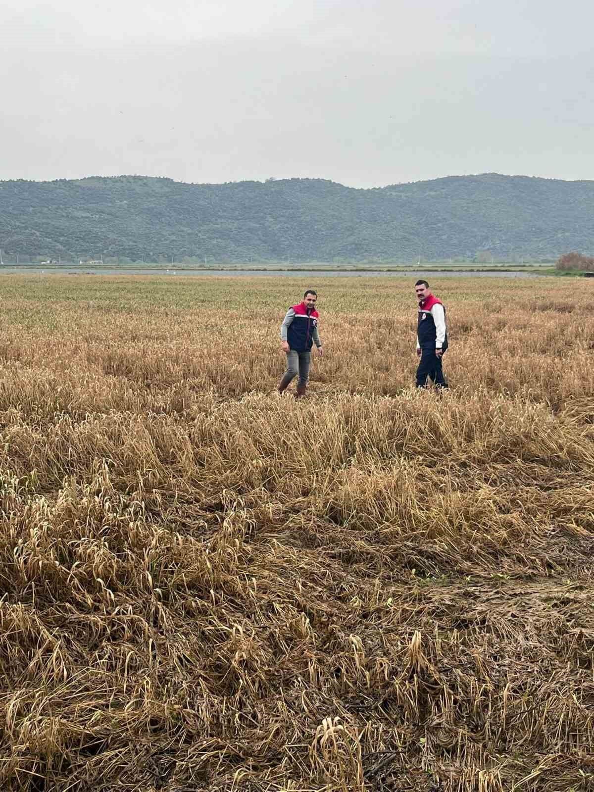 Sokede Sel Sonrasi Tarim Arazilerinde Hasar Tespiti Suruyor 92B163482Dcab6Cd293F500E56B6Db5D