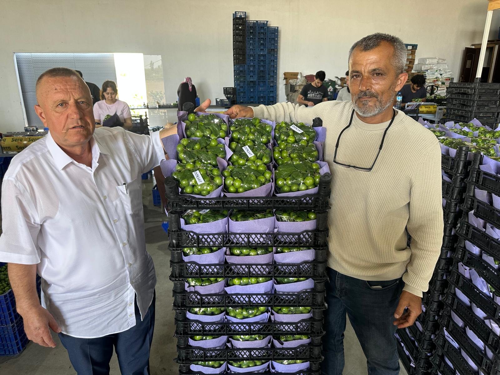 Turkiyenin Ilk Kullu Papaz Erigi Incirliovadan 657822 62C416