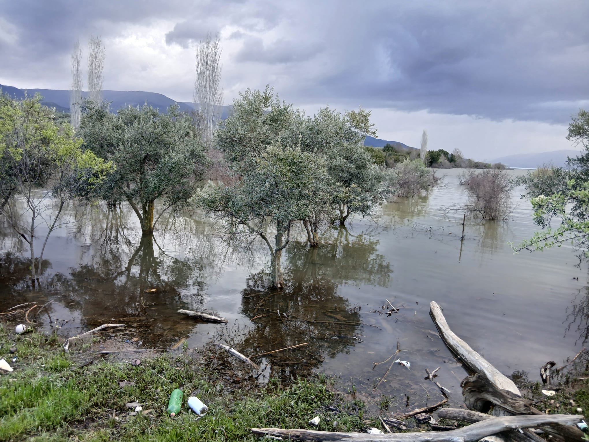 Whatsapp Image 2026 04 12 At 11.57.41