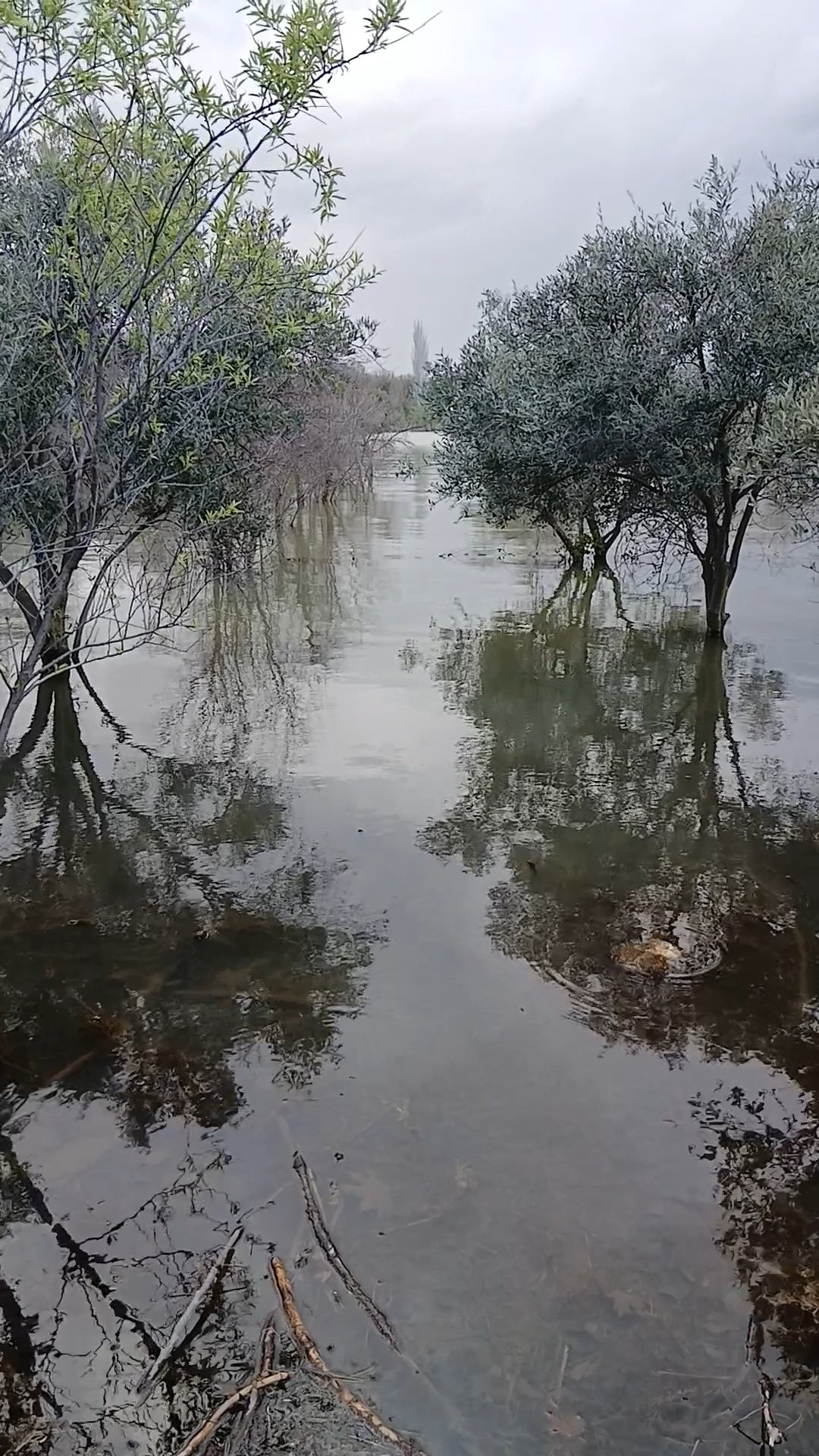 Whatsapp Image 2026 04 12 At 11.57.42 (1)