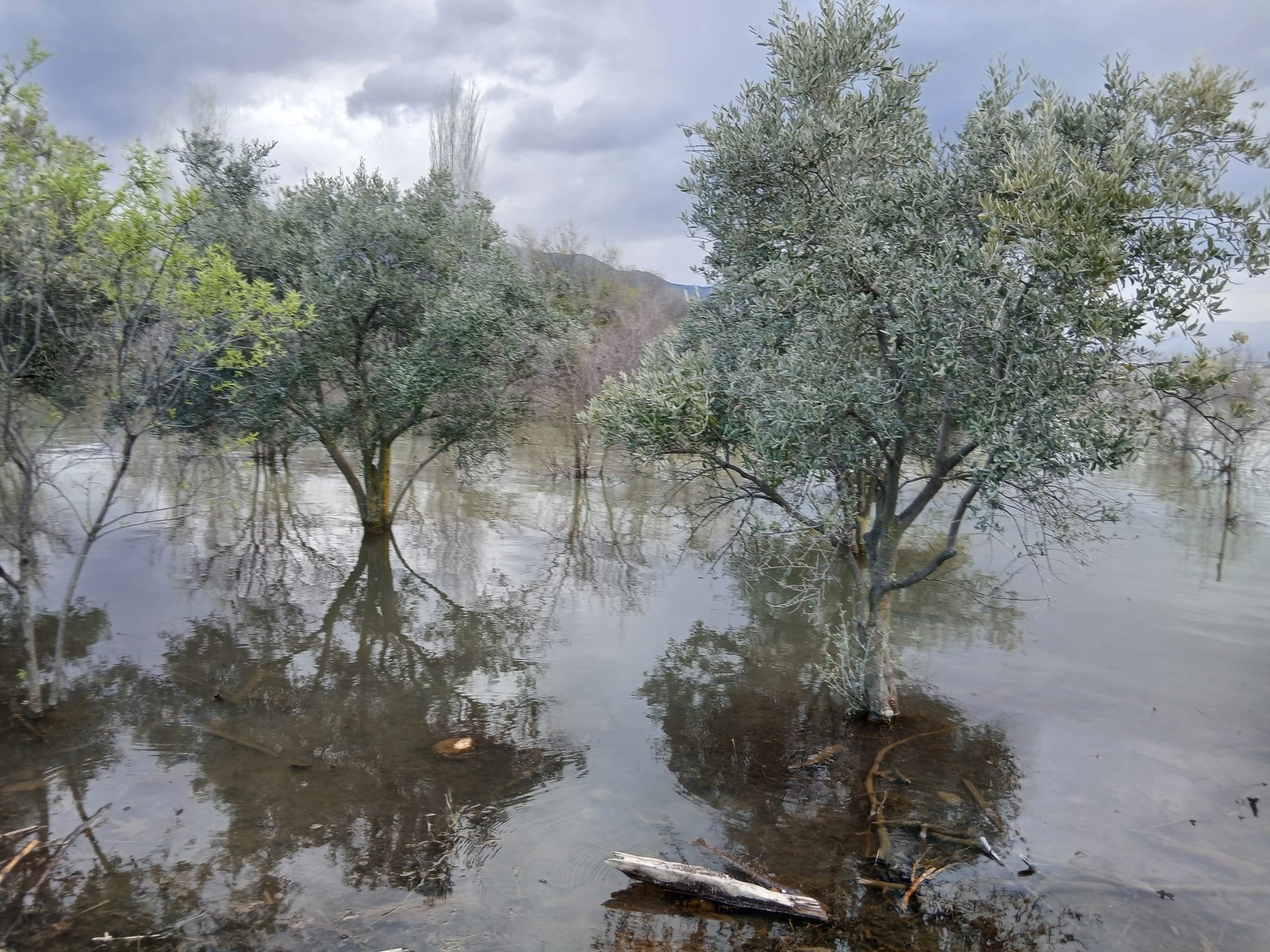 Whatsapp Image 2026 04 12 At 11.57.42