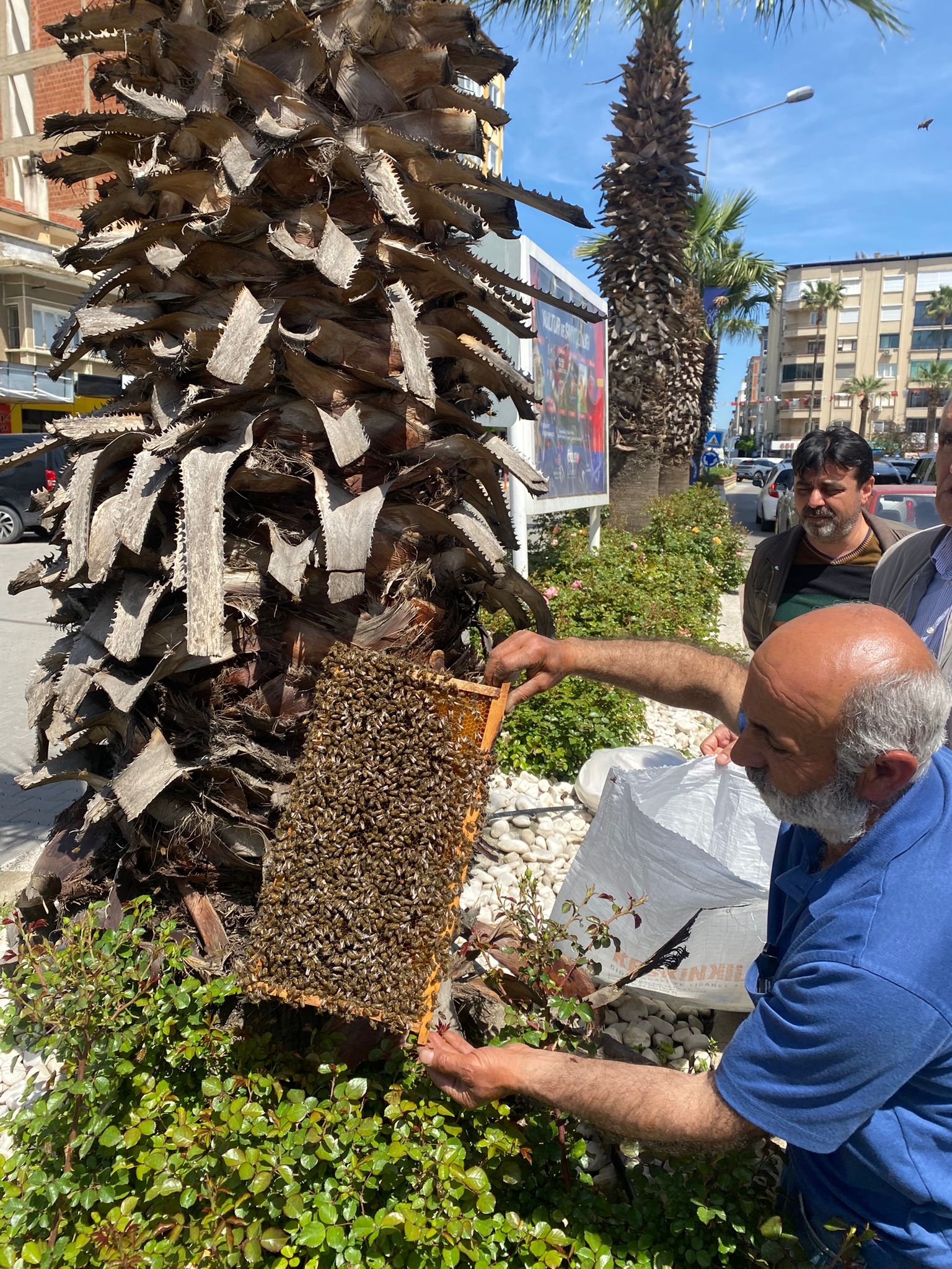 Whatsapp Image 2026 04 20 At 14.42.41 (1)