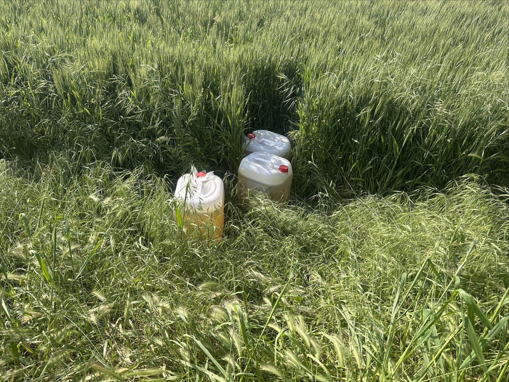 Whatsapp Image 2026 04 27 At 09.21.20