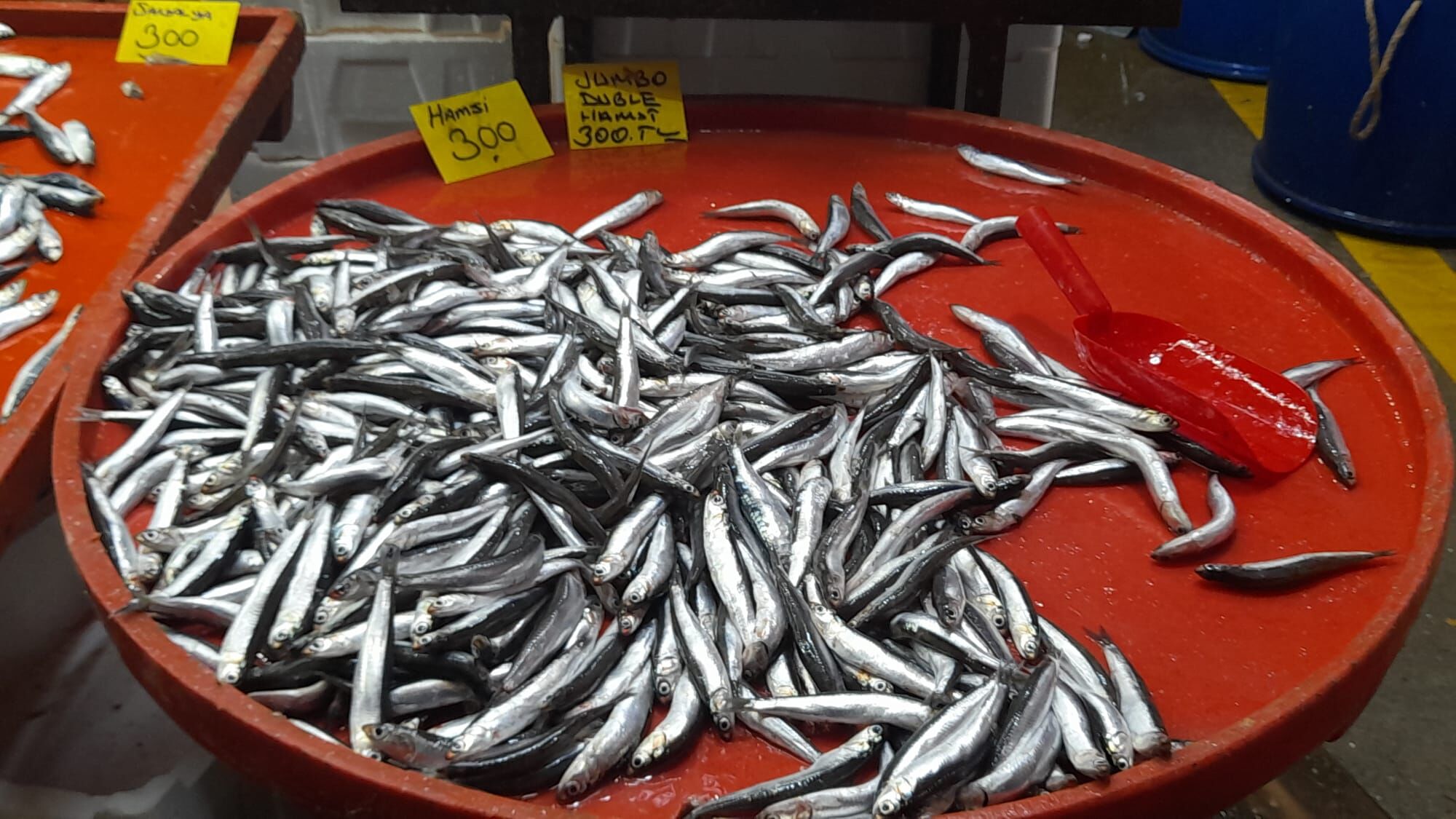 Yasak Oncesi Hamsi Tezgahta Rekora Kosuyor 651674 Eb71487F6E38F53B64Ece573C0De5669