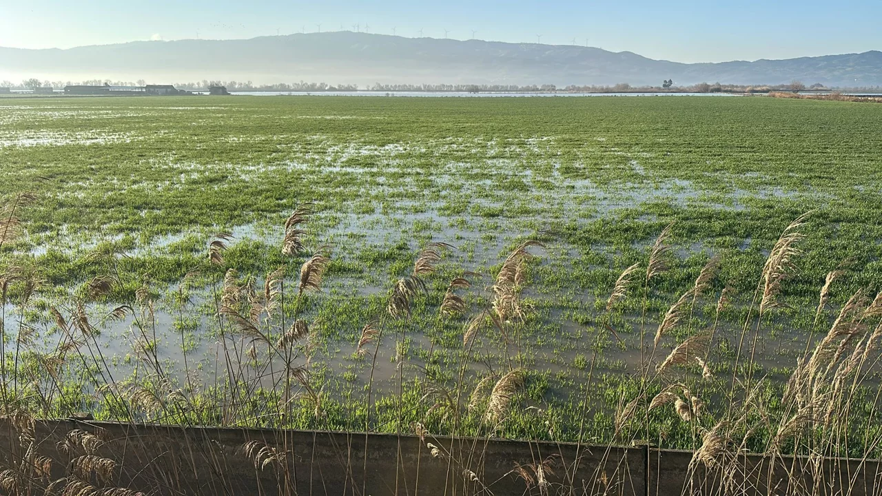 Yildirim Ziraat Odalari Toplantisini Degerlendirdi 654709 E920Bb (1)