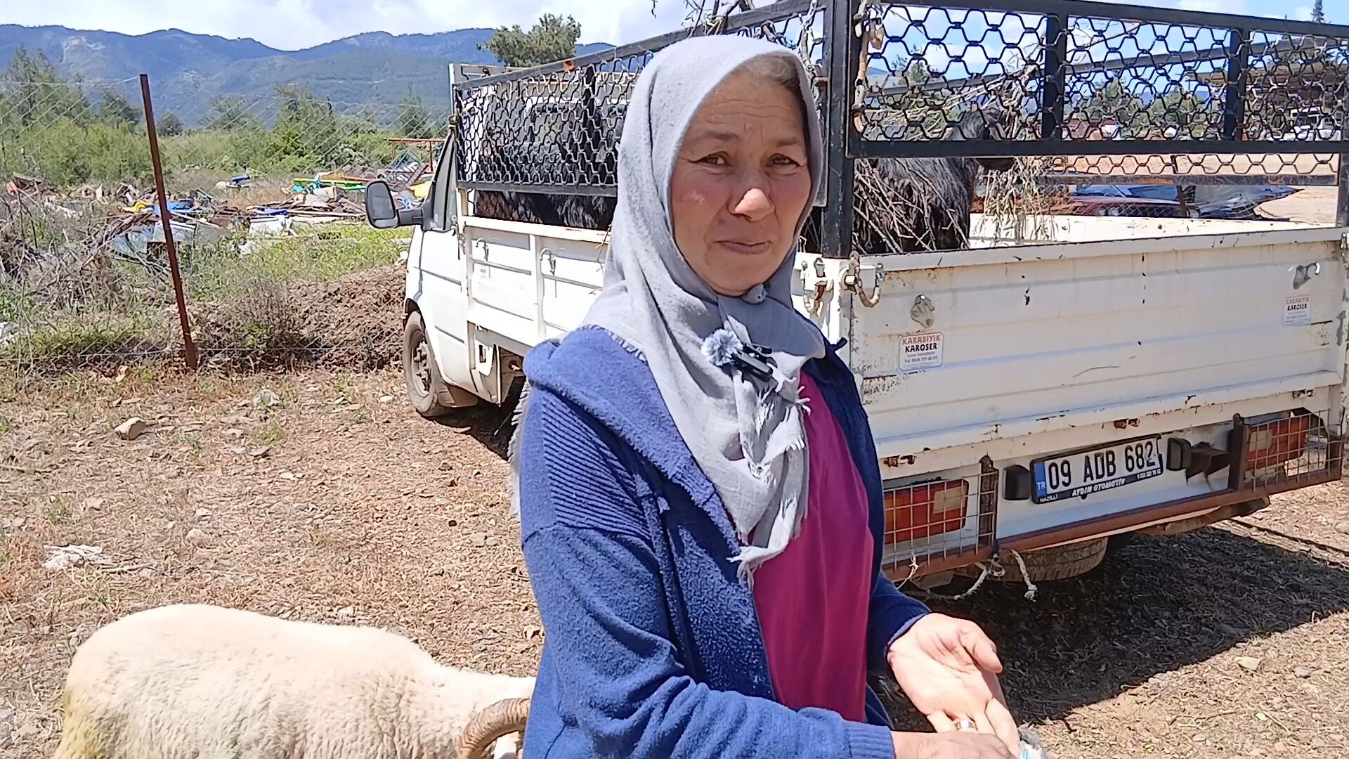 100 Kilo Hayvan 32 Bin Lira Bir Cuval Yem 1000 Lira 665665 F2A24D